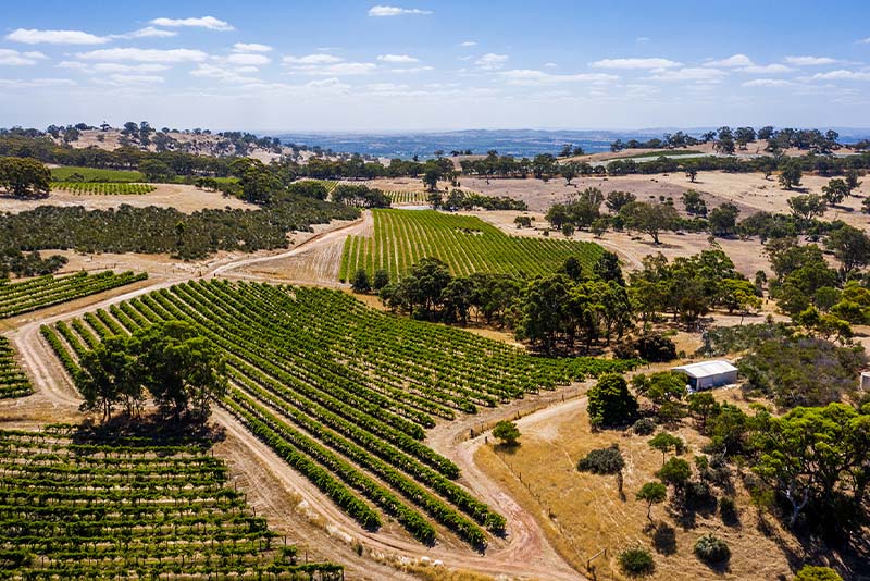 1 Sky to Cellar Door