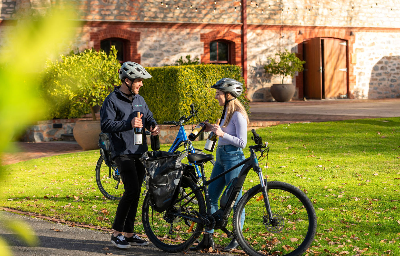 Bike Tours