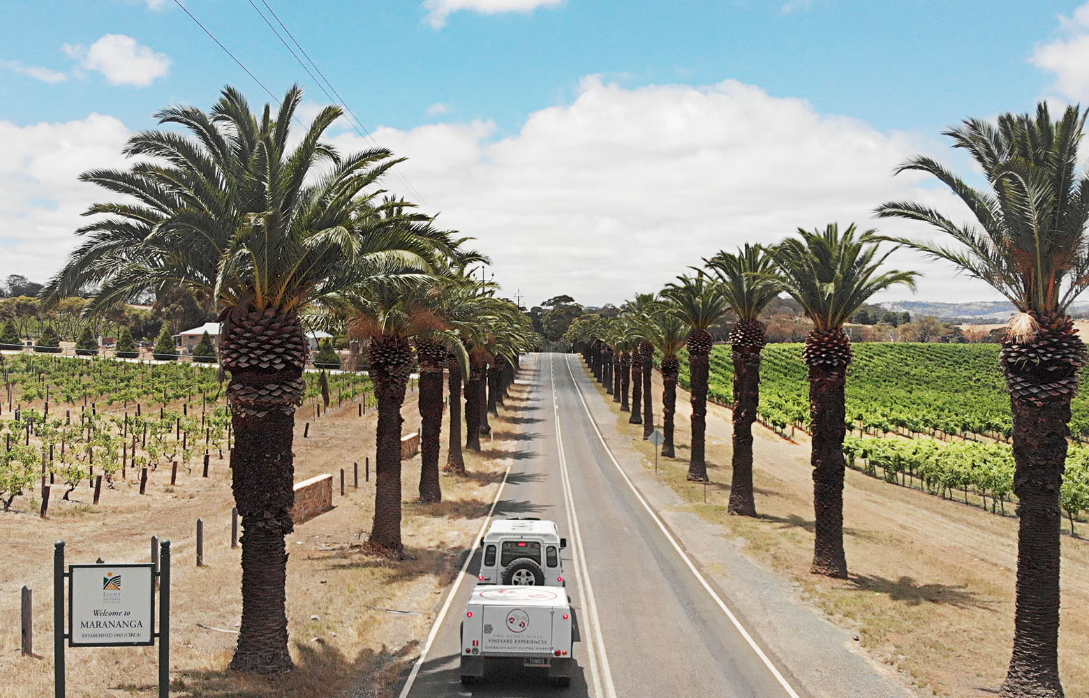 Winery Tours