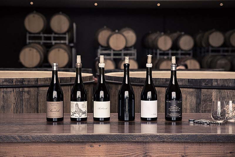 1 Expression of Shiraz