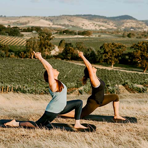 Wellness &<br>Wellbeing
