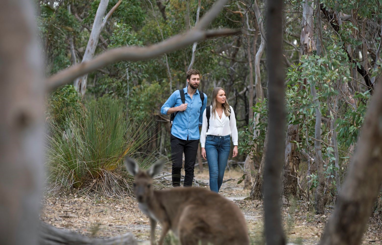 Bush Adventure journal
