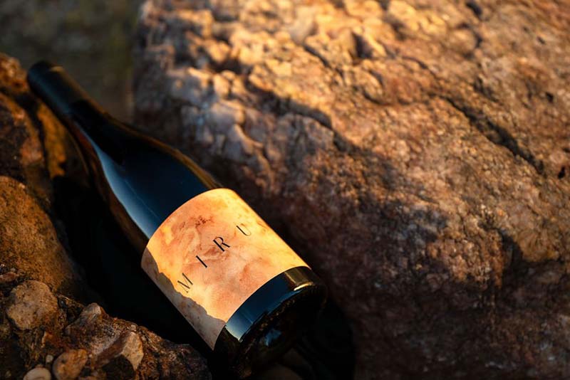 Mirus-Vineyard-Tasting-Right_800x534px
