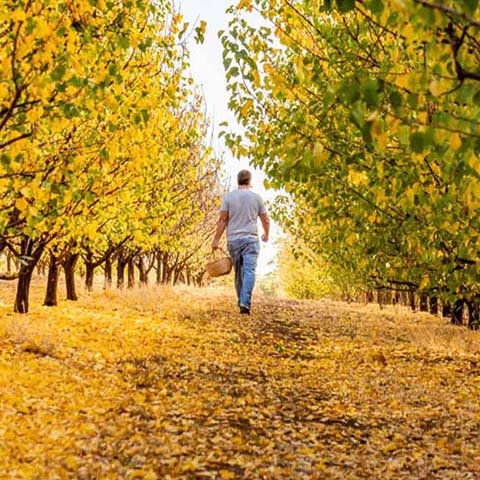 Autumn