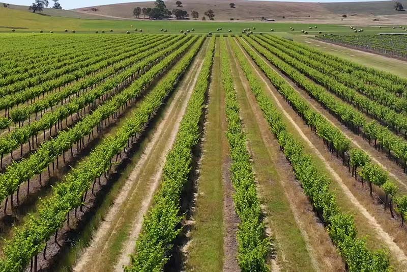 Barossa to Kangaroo Island-Left