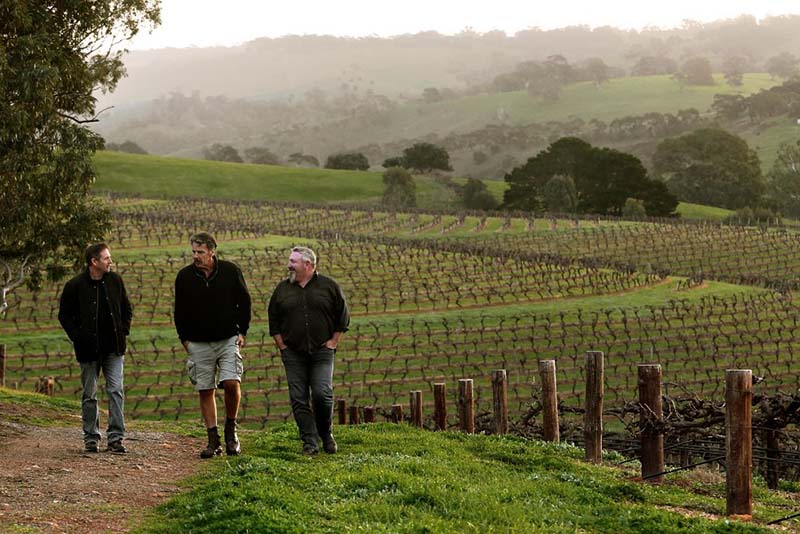 McLaren Vale Hidden Gems-Left_800x534px